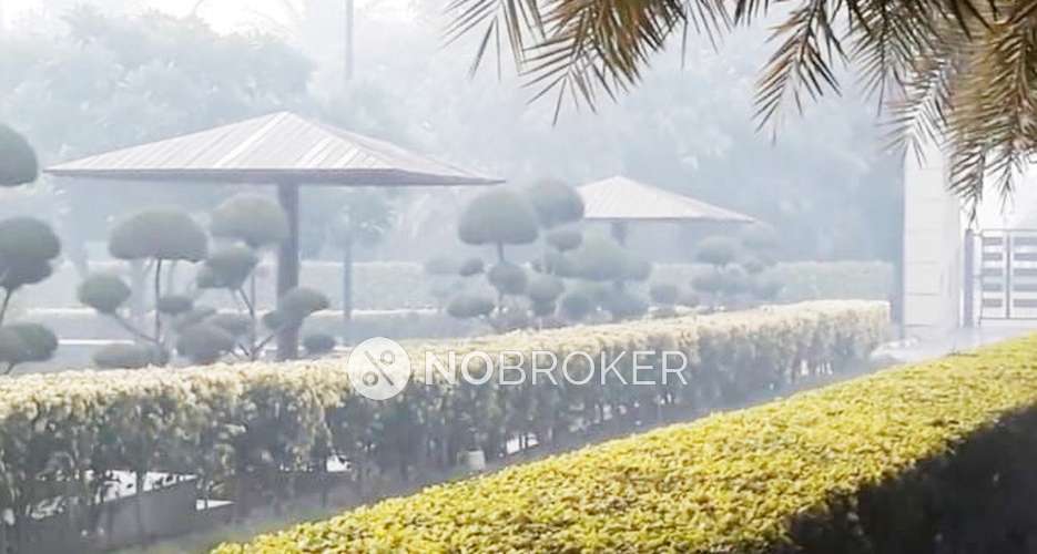 3 BHK Flat In Paras Tierea For Sale  In Sector 137