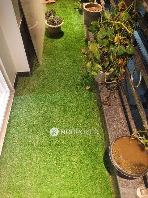 3 BHK Flat In Birla A-1 For Sale  In Chattarpur 