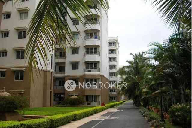 2 BHK Flat In Prestige Monte Carlo St for Rent  In Yelahanka