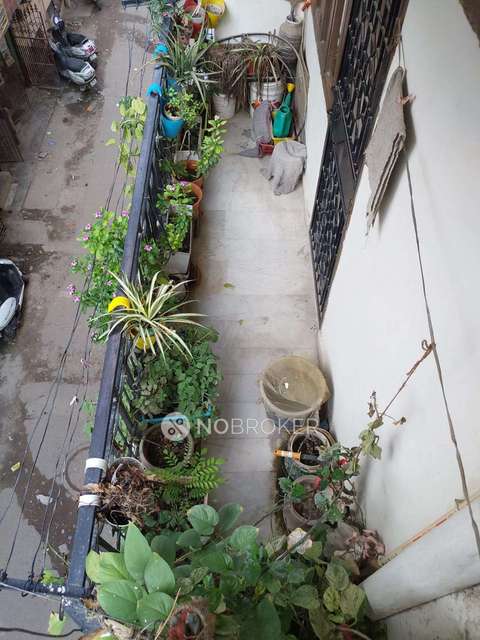 3 BHK Flat In C19  For Sale  In Malviya Nagar