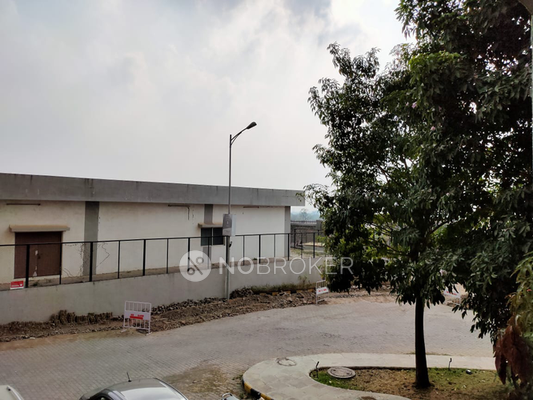 1 BHK Flat In Blue Ridge - Paranjpe Schemes for Rent  In Hinjawadi