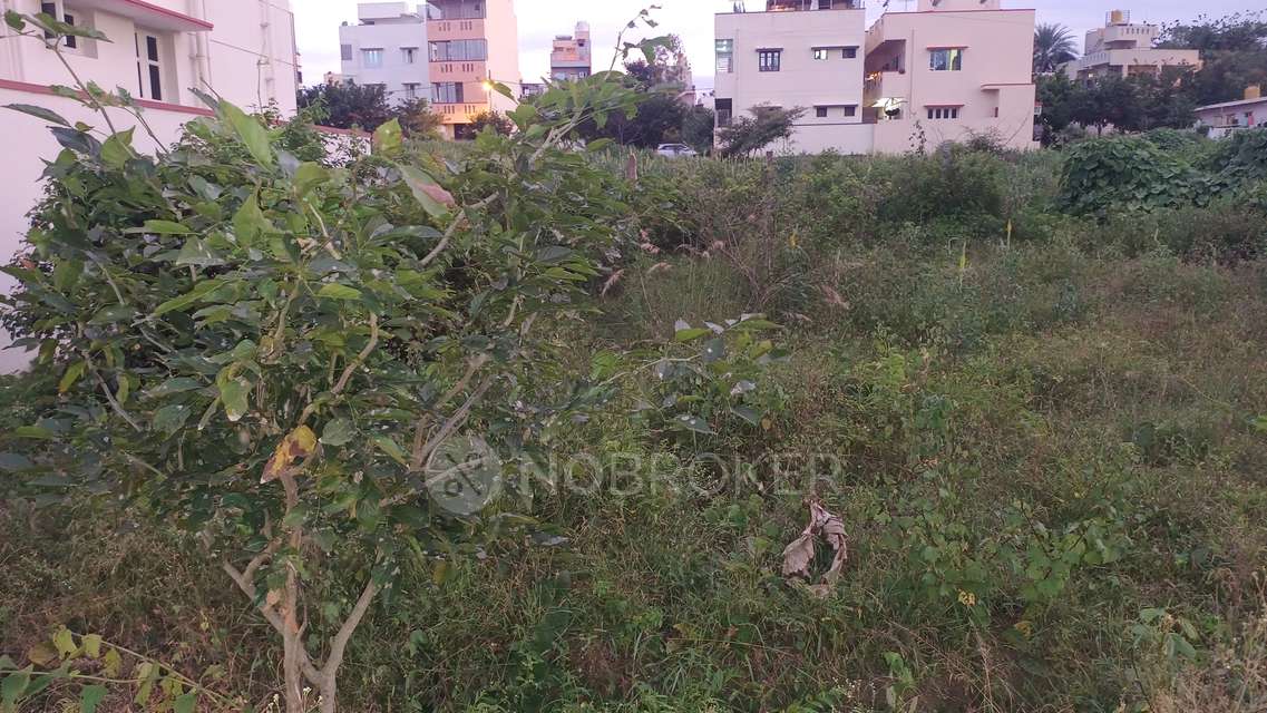 Plot For Sale  In Doddabidarakull
