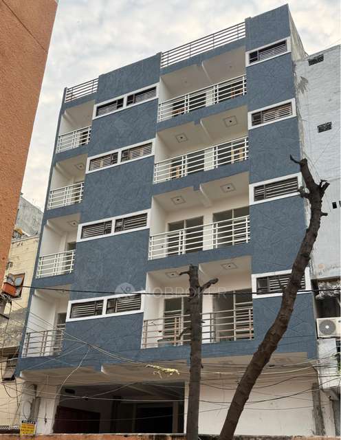 PG for Anyone in Mahipalpur