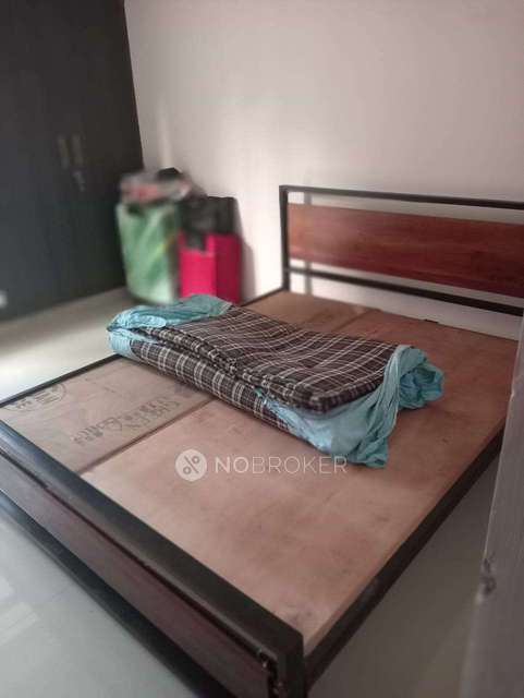 Single Room for Female In 2 BHK  In Supertech Eco Village-1 In Bisrakh Jalalpur