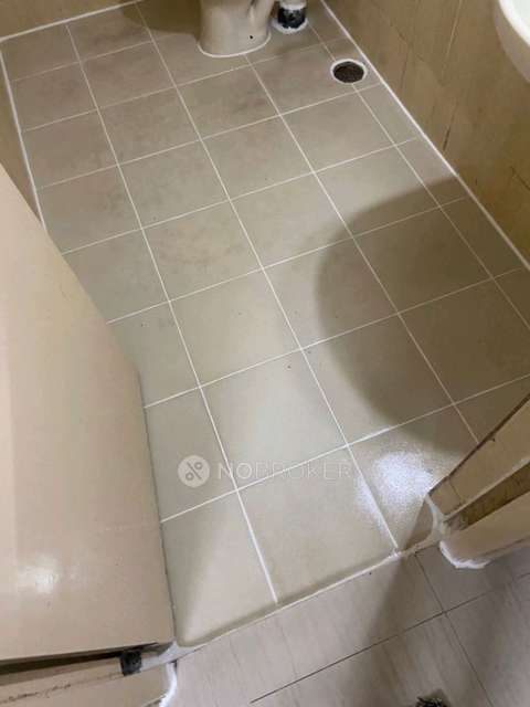 3 BHK Flat In Dsr Regency For Sale  In Bellandur