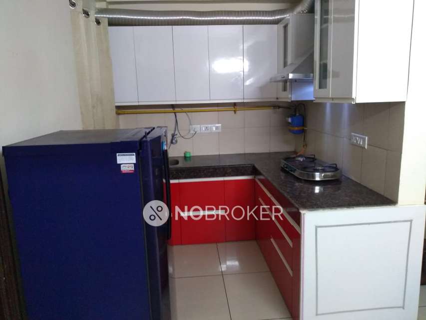 2 BHK Flat In Panchsheel Hynish For Sale  In Sector 1