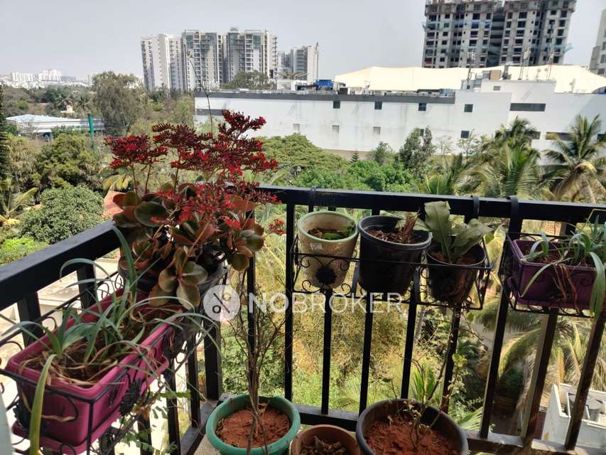 3 BHK Flat In Veracious Lansdale For Sale  In Whitefield