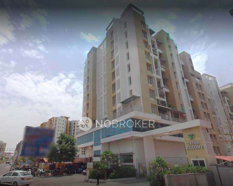 2 BHK Flat In Triaa Hillome for Rent  In Lohegaon