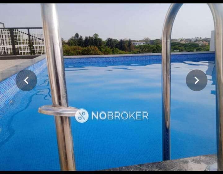 4 BHK Flat In Ds-max Sage For Sale  In Visthar