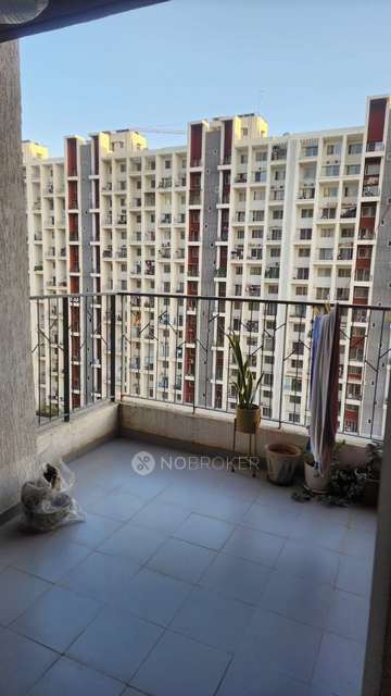 3 BHK Flat In Godrej 24 for Rent  In Hinjewadi