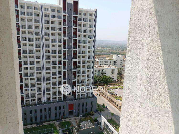3 BHK Flat In Godrej 24 for Rent  In Hinjewadi