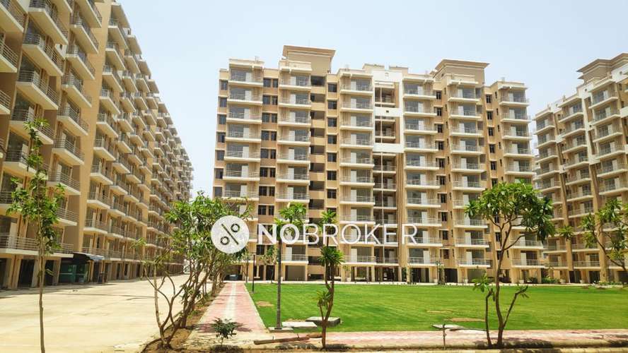 2 BHK Flat In Hcbs Sports Ville for Rent  In Sector 2 And 35