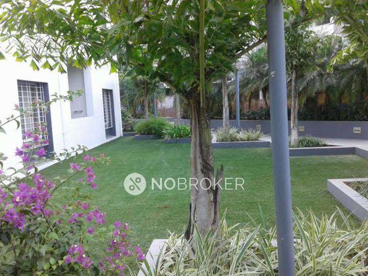 1 BHK Flat In Gokhale Briz For Sale  In Pirangut