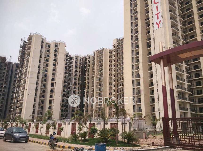 3 BHK Flat In Golf City Apartments for Rent  In Sector 75