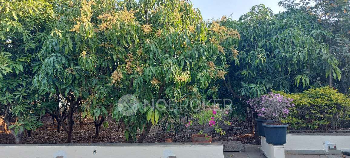 3 BHK House for Rent  In Bavdhan