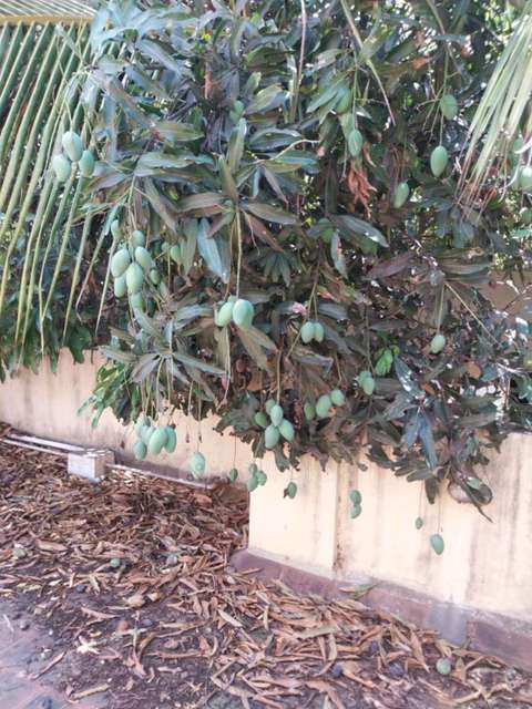 2 BHK Villa In Shriram Samskruti For Sale  In Brookefield