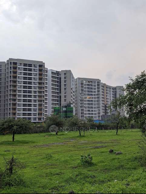 3 BHK Flat In Krishna Amorapolis for Rent  In Dhanori