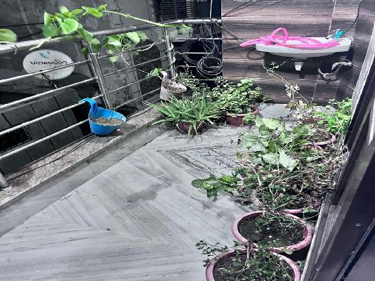 3 BHK Flat For Sale  In Mahavir Enclave I South