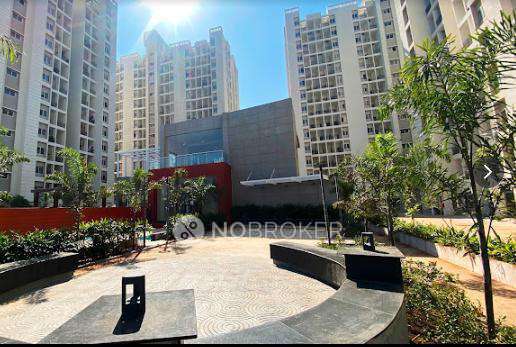 2 BHK Flat In Vtp Purvanchal for Rent  In Wagholi