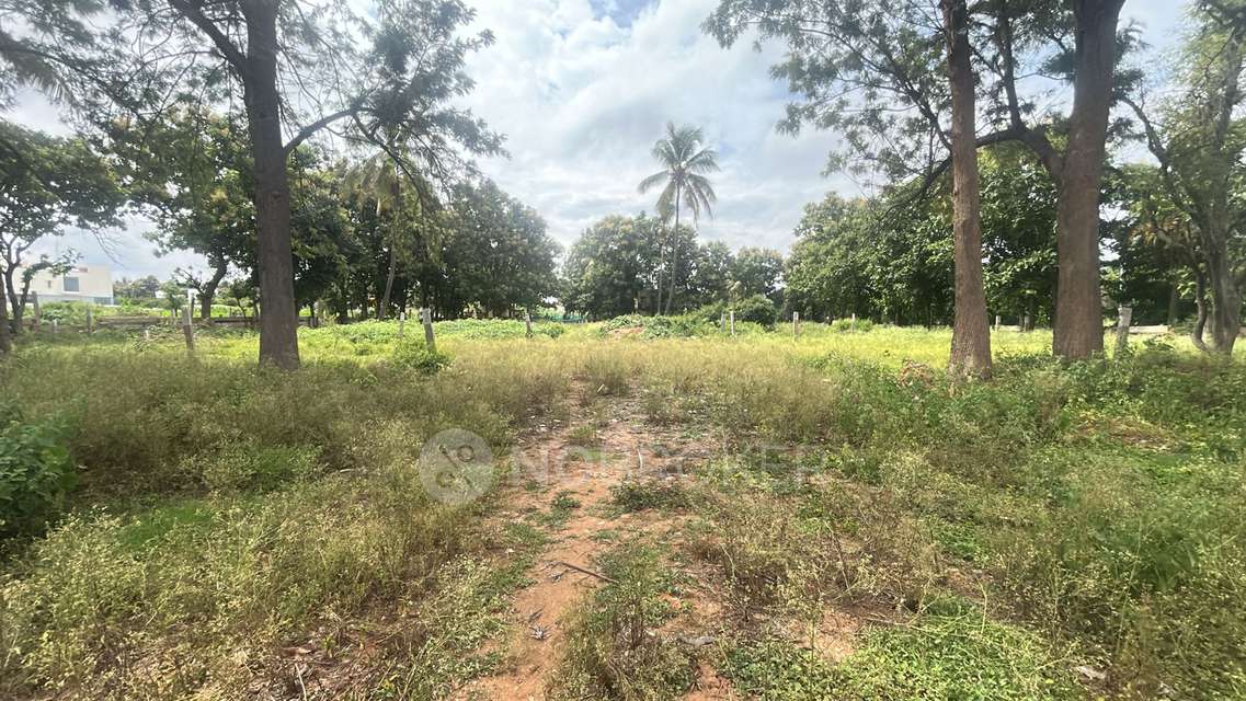 Plot For Sale  In Kenchenahalli