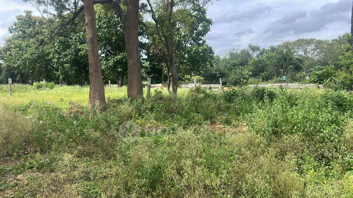 Plot For Sale  In Kenchenahalli