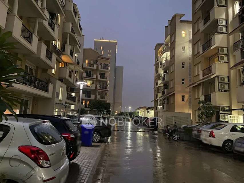 3 BHK Flat In Emaar Floor Premium  for Rent  In Sector 65