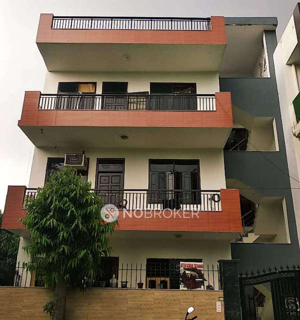 PG for Anyone in Sector 38