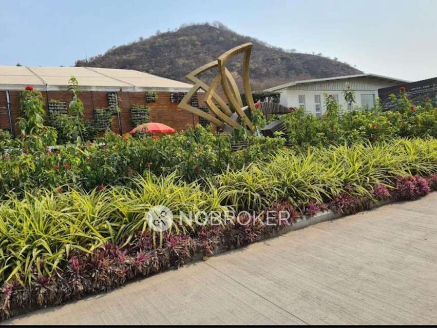 2 BHK Flat In Godrej Hill Retreat for Rent  In Mahalunge