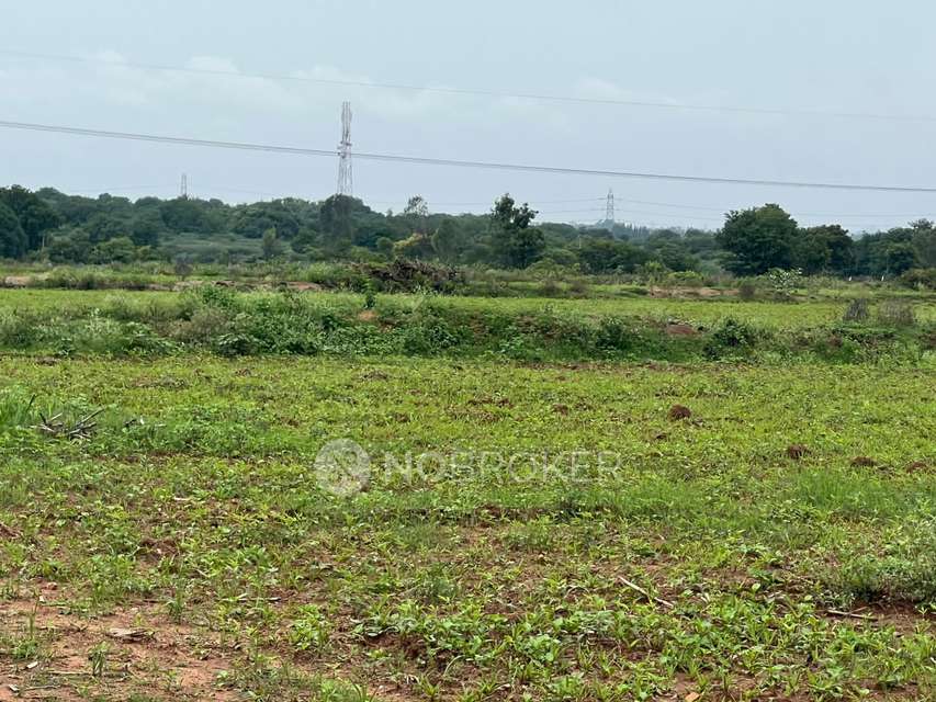 Plot For Sale  In Palace Guttahalli
