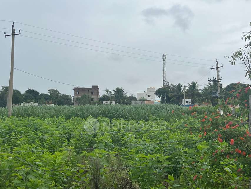 Plot For Sale  In Palace Guttahalli