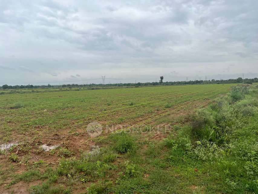 Plot For Sale  In Palace Guttahalli