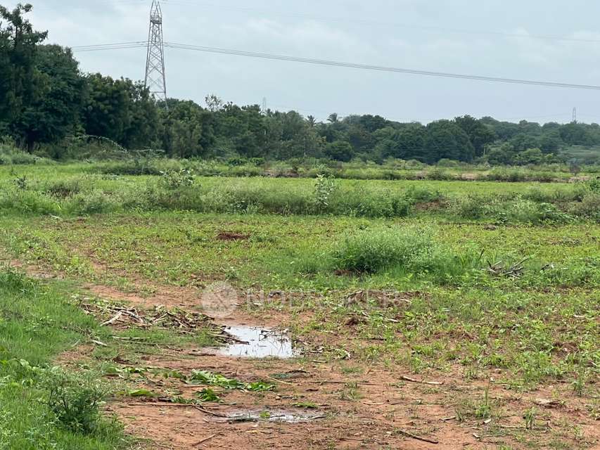 Plot For Sale  In Palace Guttahalli