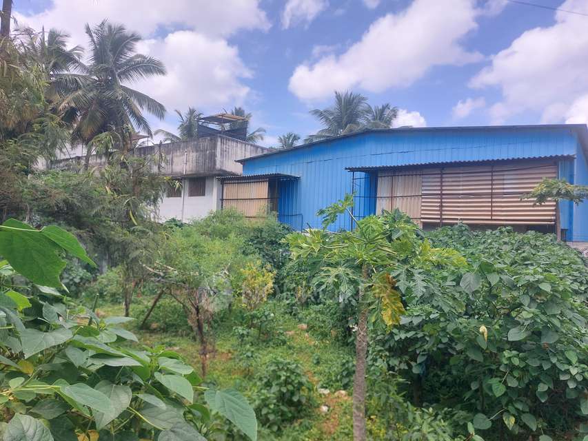 Plot For Sale  In Kothanur