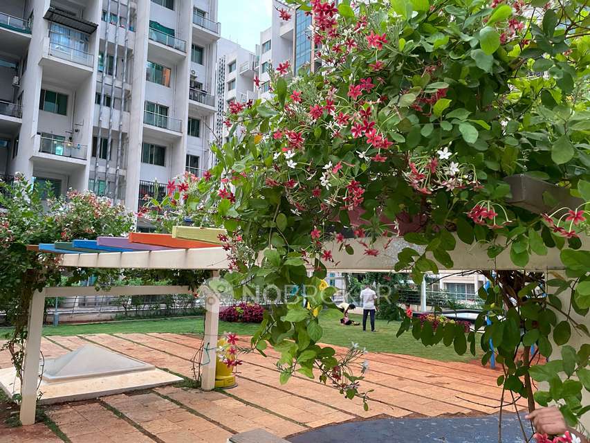 2 BHK Flat In Pharande Woodsville For Sale  In ????