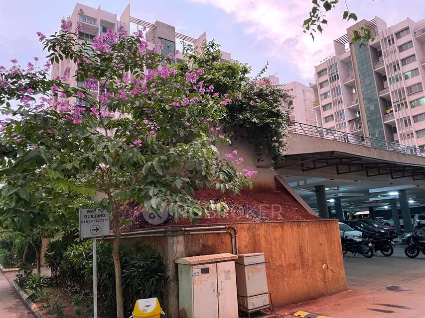 2 BHK Flat In Pharande Woodsville For Sale  In ????