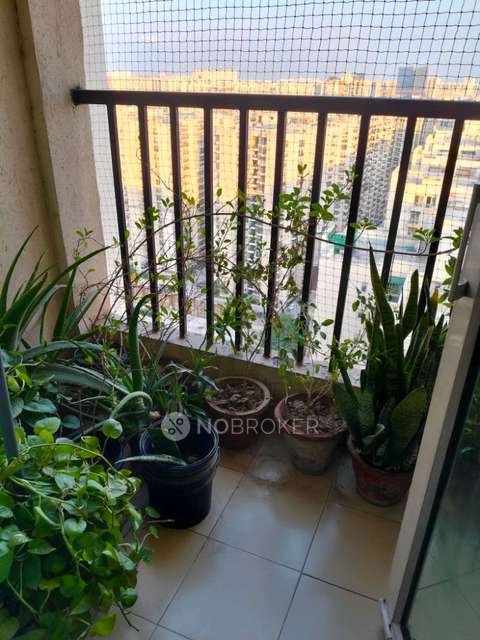 3 BHK Flat In Apartment  For Sale  In Gaur City 2 12th Avenue, Sector 16c, Noida Extension, Gaur City 2, Noida, Uttar Pradesh, India