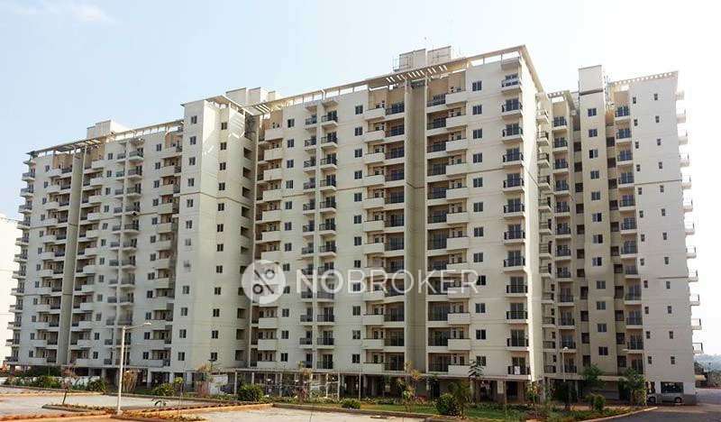 3 BHK Flat In Dlf Maidan Heights  for Rent  In Jigani