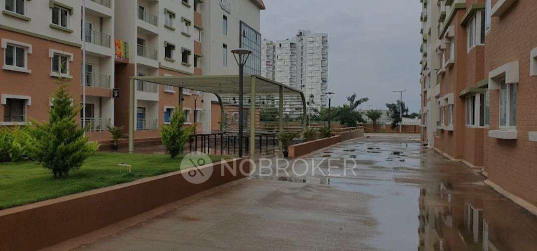 3 BHK Flat In Sjr Hamilton Homes, Gattahalli For Sale  In Gattahalli