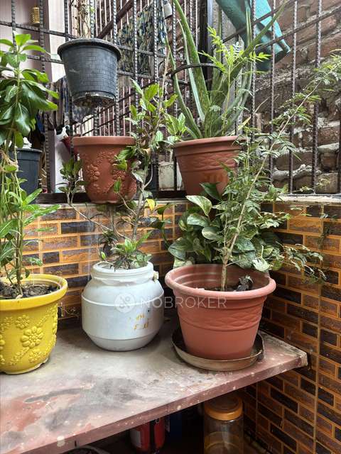 3 BHK Flat In Rwa Dlf Colony, Bhopura For Sale  In Bhopura