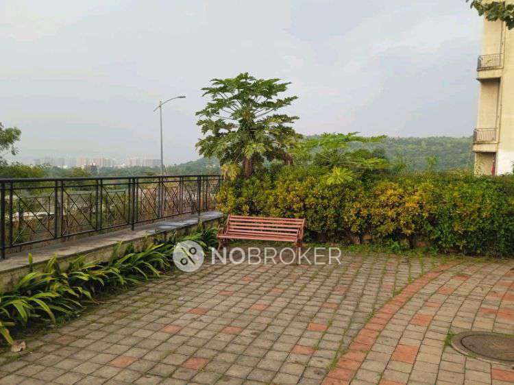 1 BHK Flat In Xrbia Hinjewadi for Rent In Marunji Hills