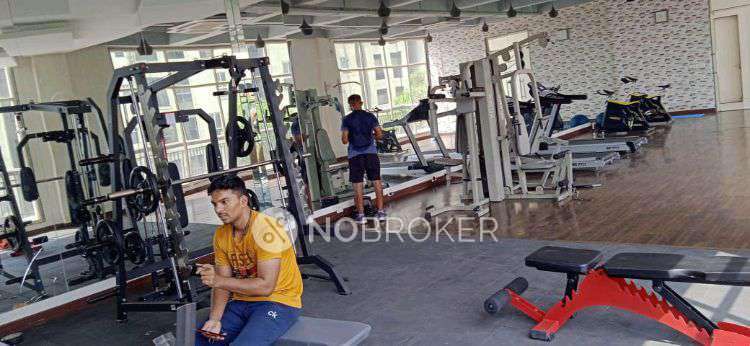 1 BHK Flat In Xrbia Hinjewadi for Rent In Marunji Hills