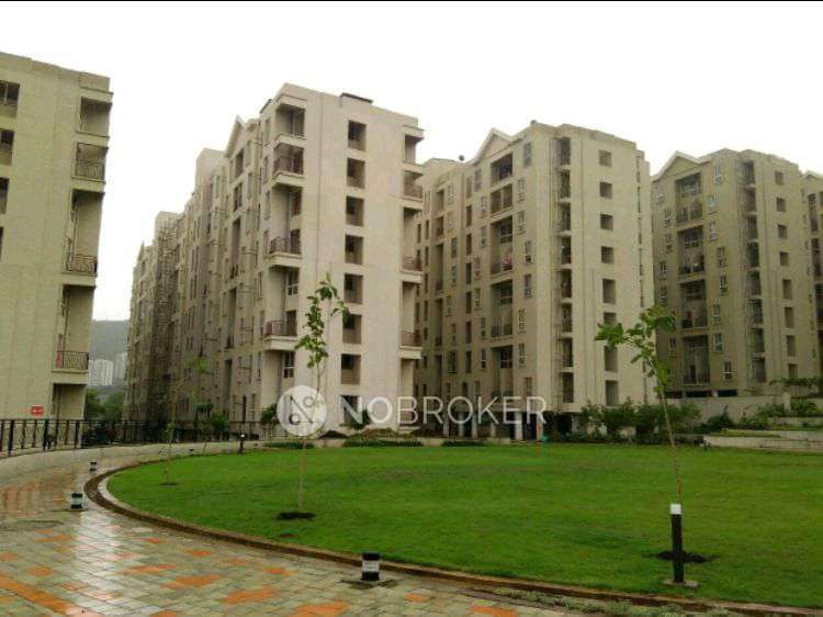 1 BHK Flat In Xrbia Hinjewadi for Rent In Marunji Hills