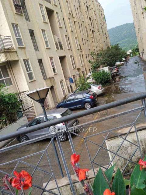 1 BHK Flat In Xrbia Hinjewadi for Rent In Marunji Hills