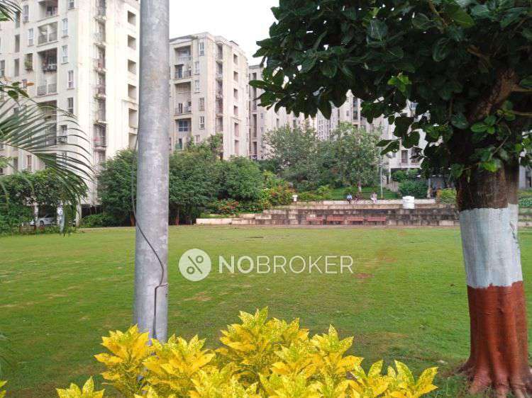 1 BHK Flat In Xrbia Hinjewadi for Rent In Marunji Hills