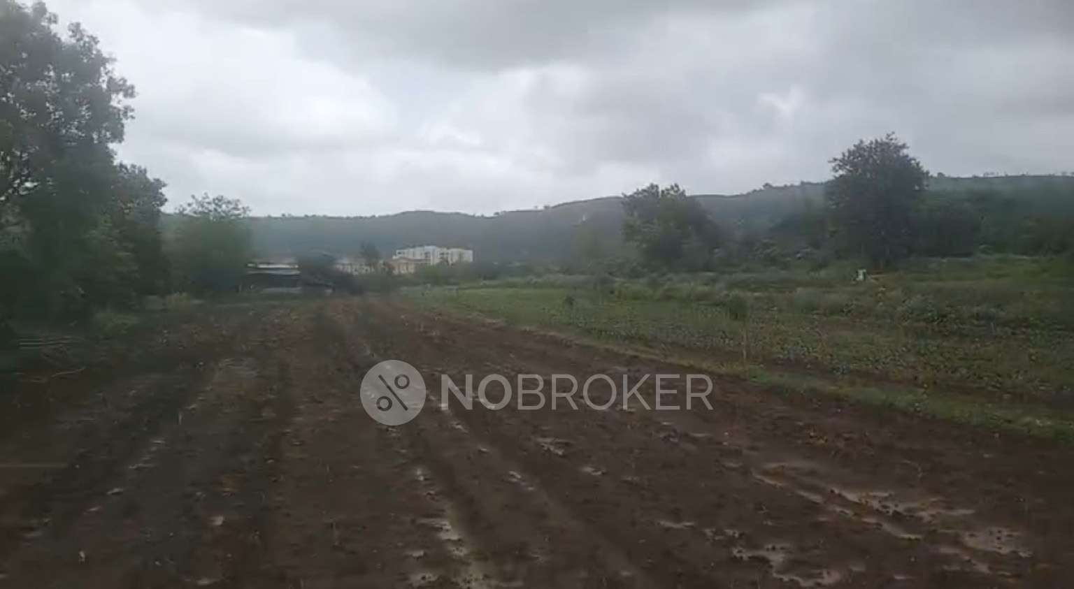 Plot For Sale  In Free Hold In Pirangut