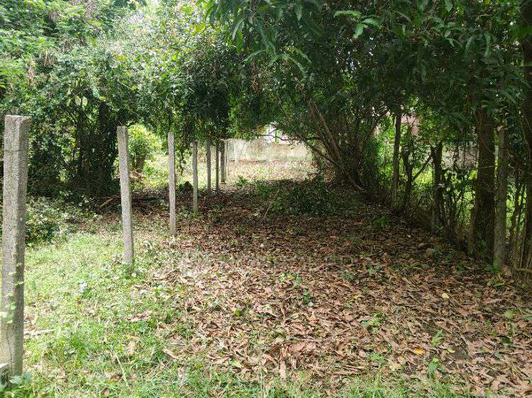 Industrial Shed in Urapakkam, Chennai for Rent