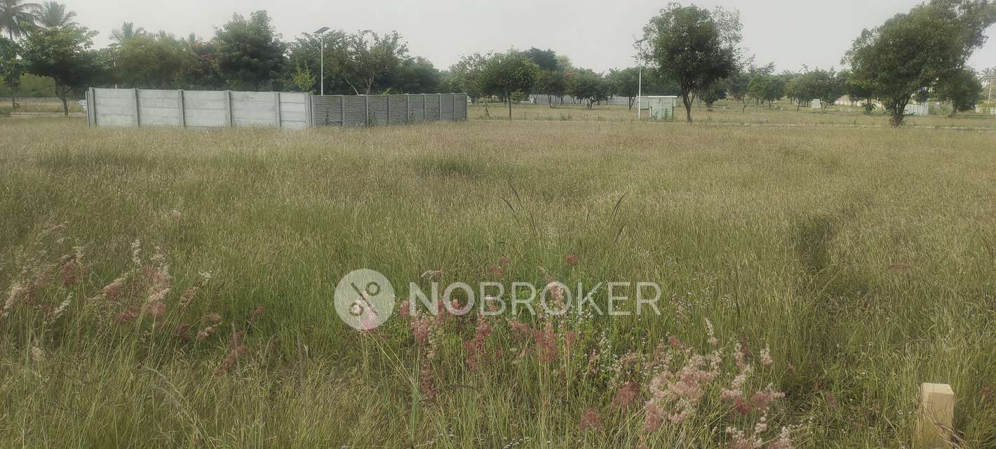 Plot For Sale  In Amogh Spania In Chikkannanahosahalli