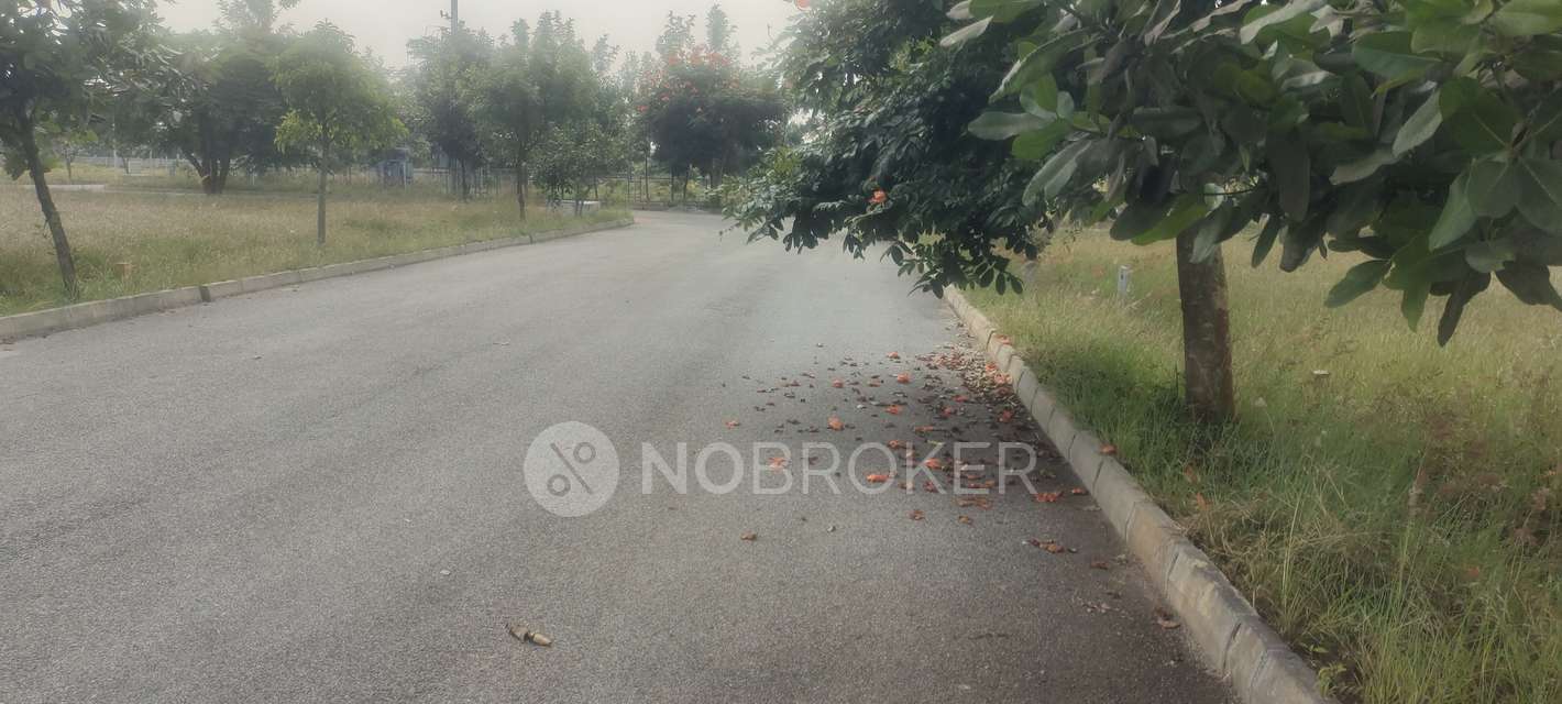 Plot For Sale  In Amogh Spania In Chikkannanahosahalli