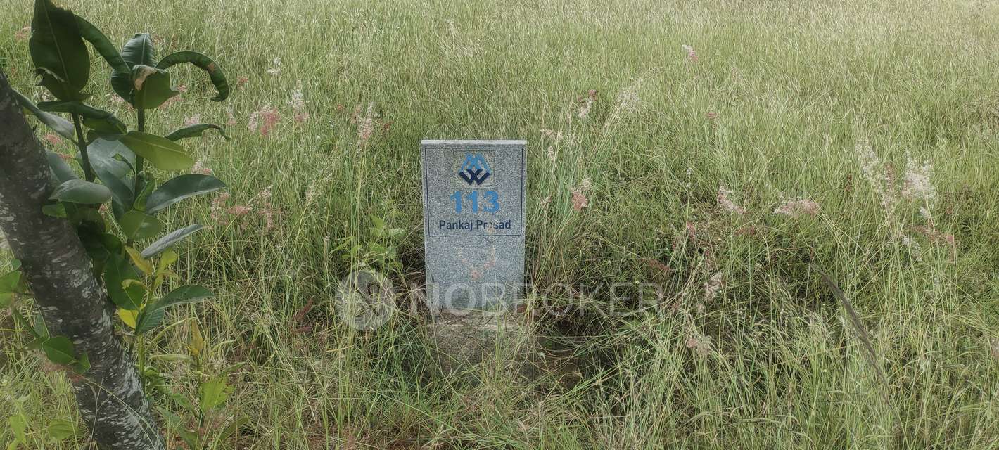 Plot For Sale  In Amogh Spania In Chikkannanahosahalli