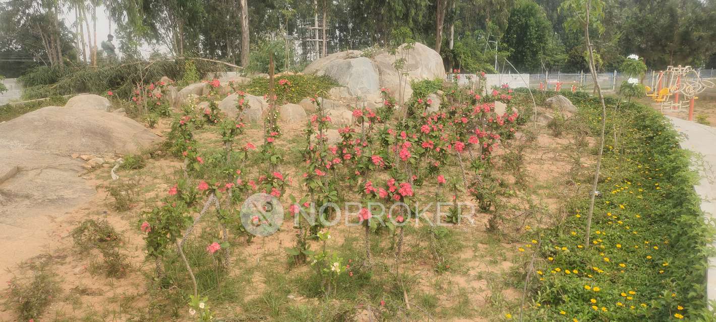 Plot For Sale  In Amogh Spania In Chikkannanahosahalli
